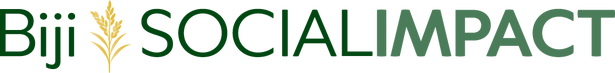 BSI logo footer