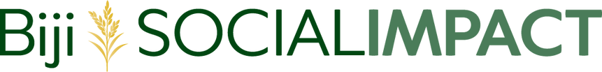 BSI logo footer